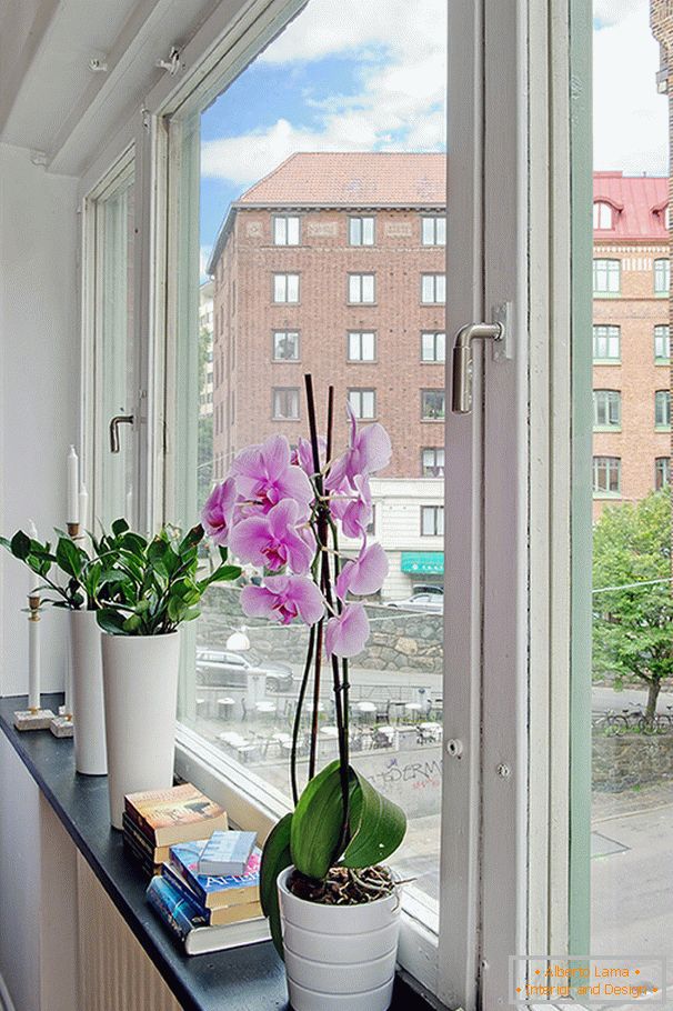 Цвеће на прозору