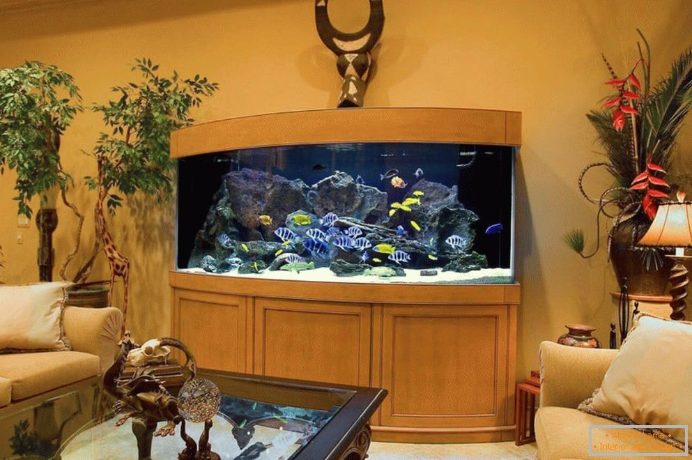 Прекрасан акваријум в гостиной