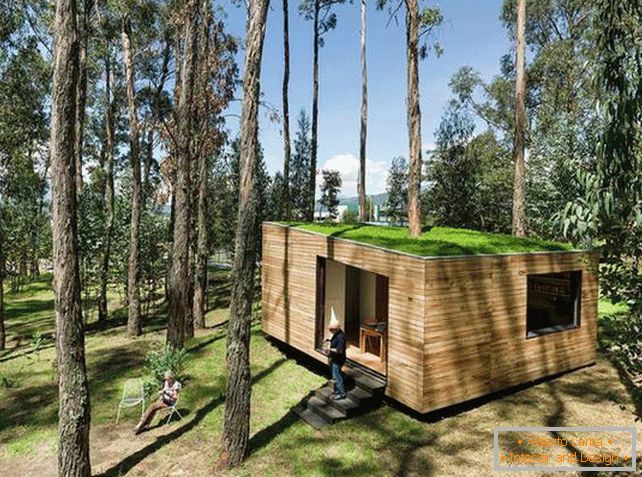 Мала кућа у шуми са маховним кровом