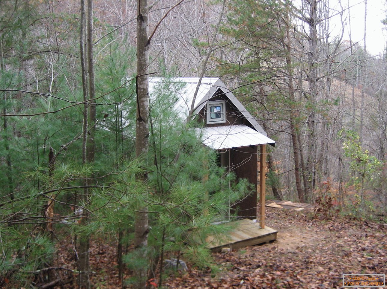 Мала кућа у шуми