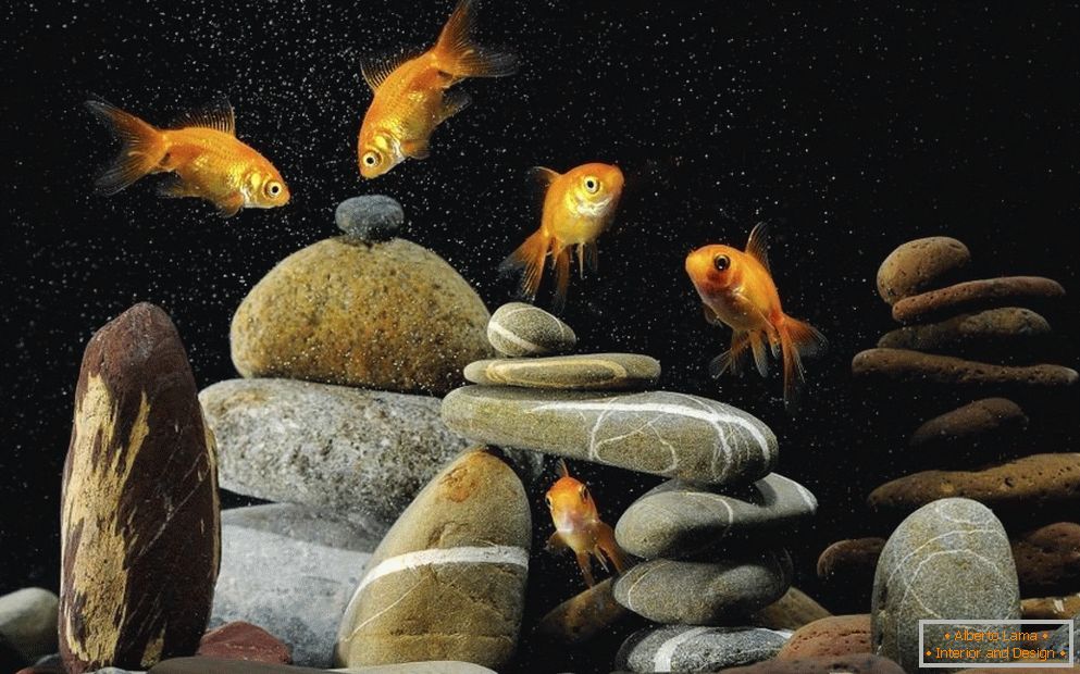 Декорација акваријума камењем