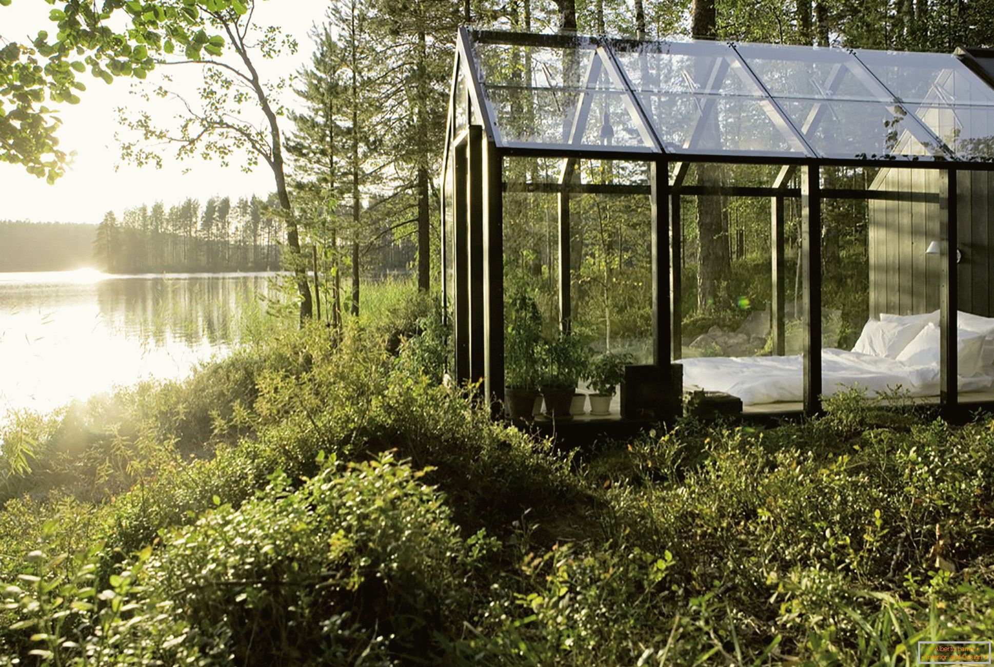 Дизајн стакленика у средини шуме