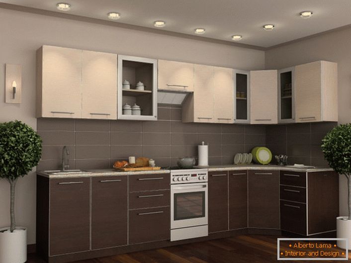Кухињски сет Венге у комбинацији са правилно одабраним декоративним елементима чини простор елегантном и елегантном.