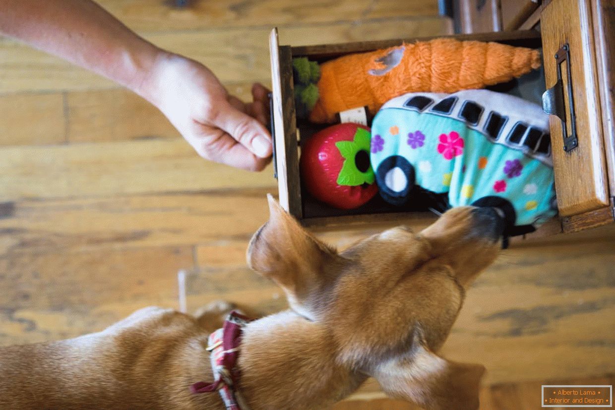 Кутија са играчкама за псе