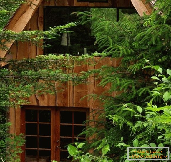 Мала шумска кућа (фотографија), США