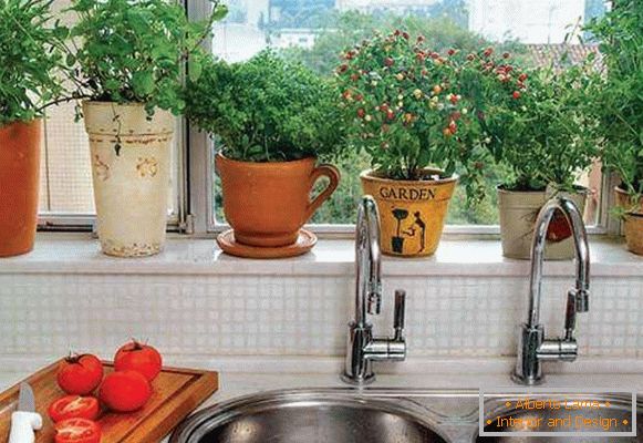 Саднице и траве на прозору у дизајну кухиње