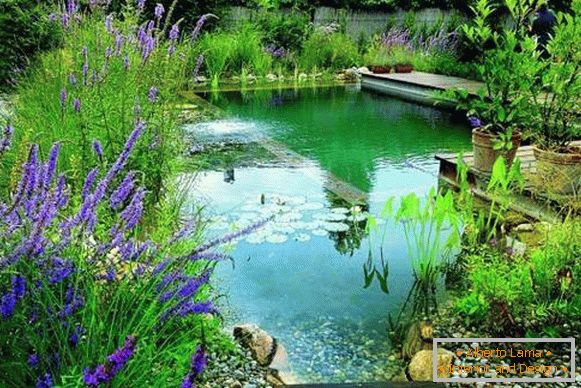 Лепа фотографија базена - базен за пливање у дворишту