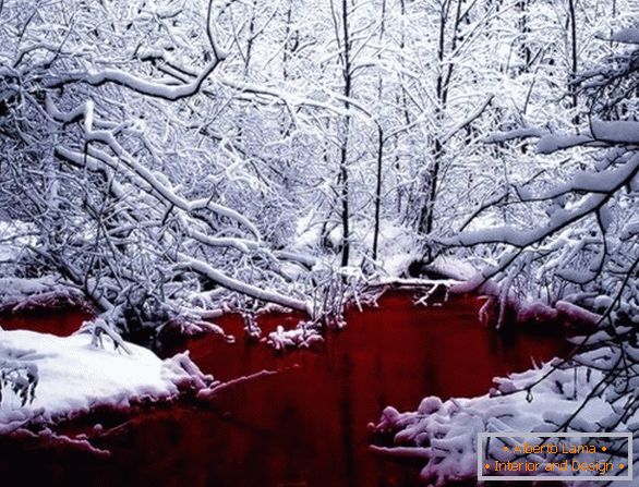 Крваво црвено језеро у Канади
