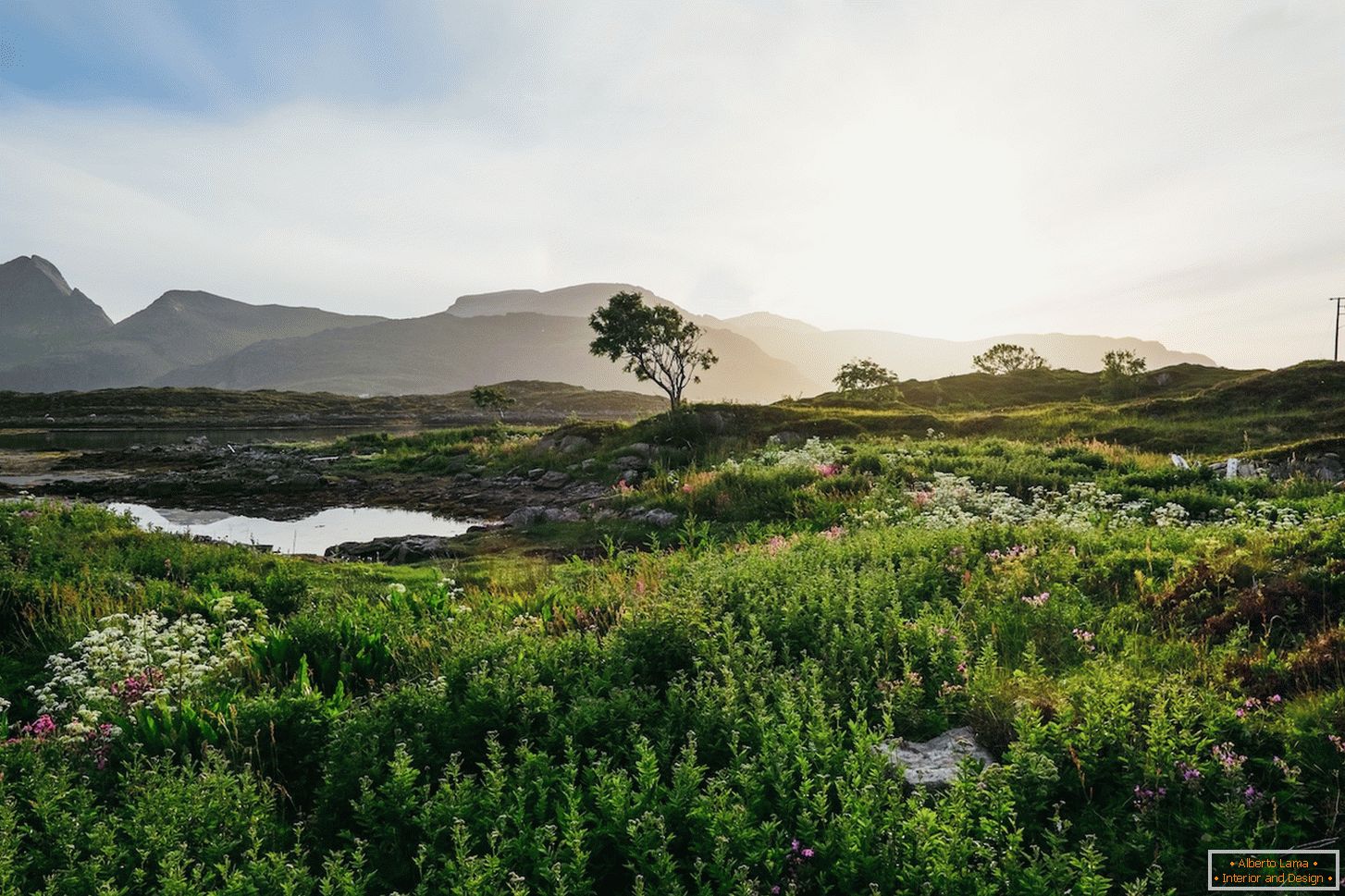 Сочан пејзаж поља Норвешке