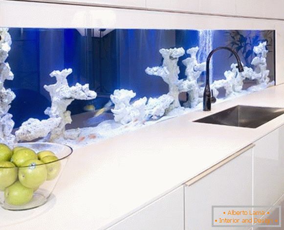 Акваријум са коралима у кухињи