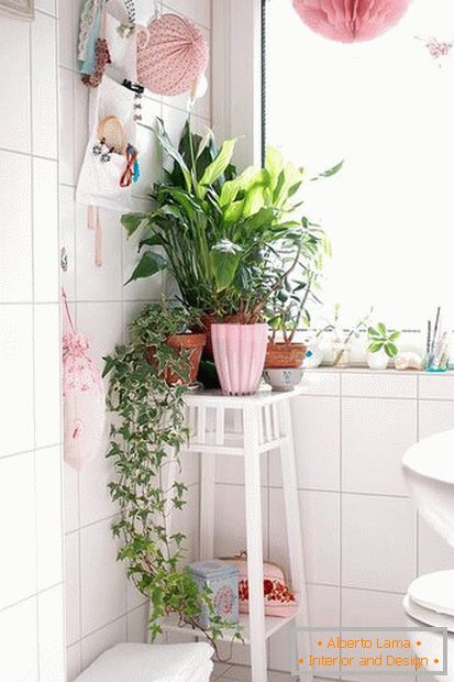 Биљке у углу купатила