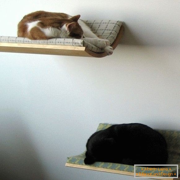 Зидне полице за мачке