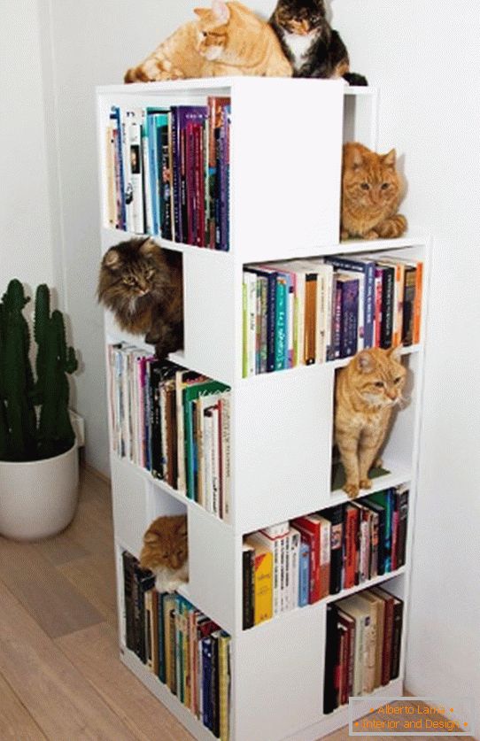 Полице за мачке в книжном стеллаже