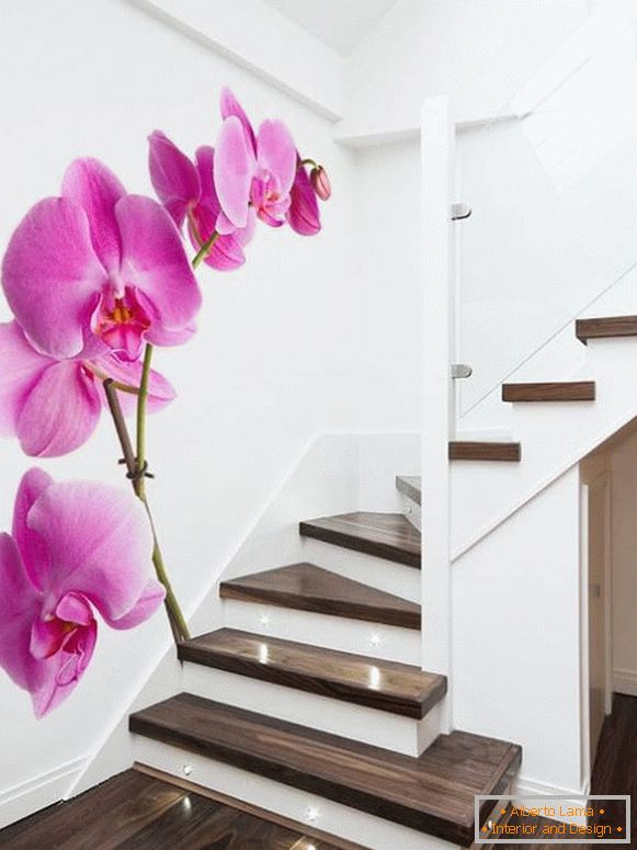 Фотографије орхидеја на степеницама