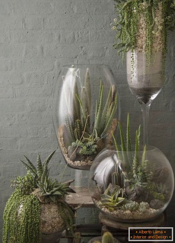 Биљке у великим стакленим вазама