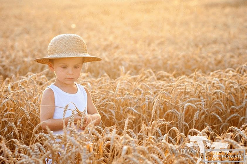 Дете у пољу пшенице