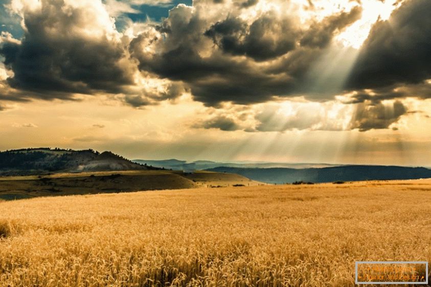Сунце пролази кроз облаке изнад поља пшенице
