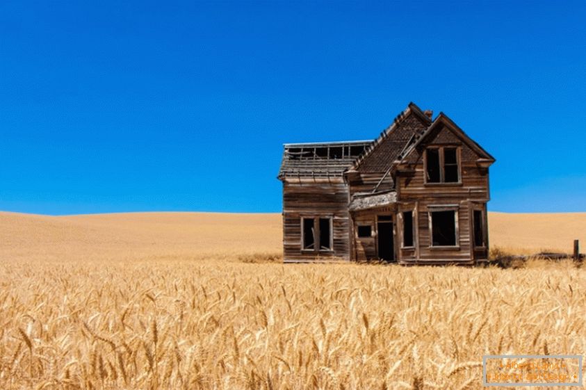 Стара кућа у пољу пшенице