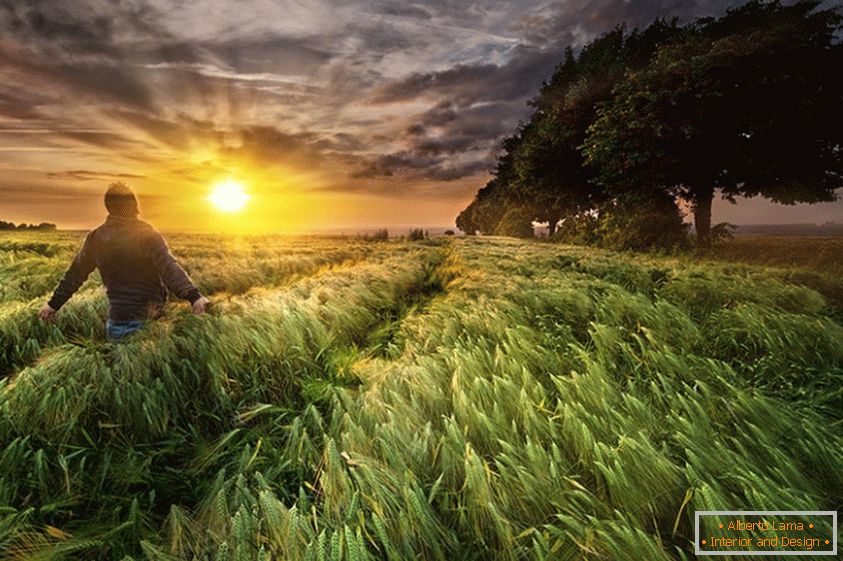 Мужчина на пшеничном поле, фотограф Паул Возниак