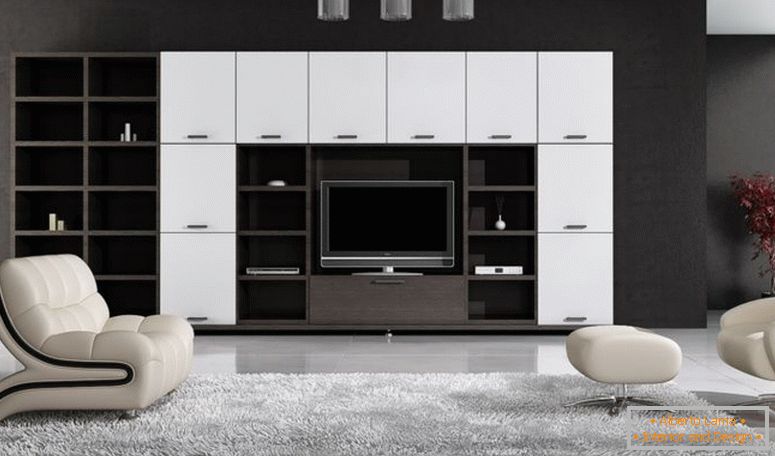 Црно-бела дневна соба - 55 фотографија необичних дневних