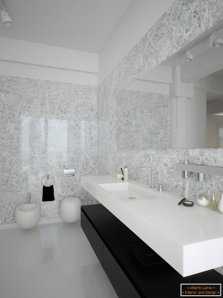 black-white-contemporary-купатилоroom-design