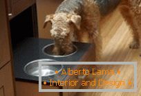 Дизајн за кућне љубимце: направите место за једење пса