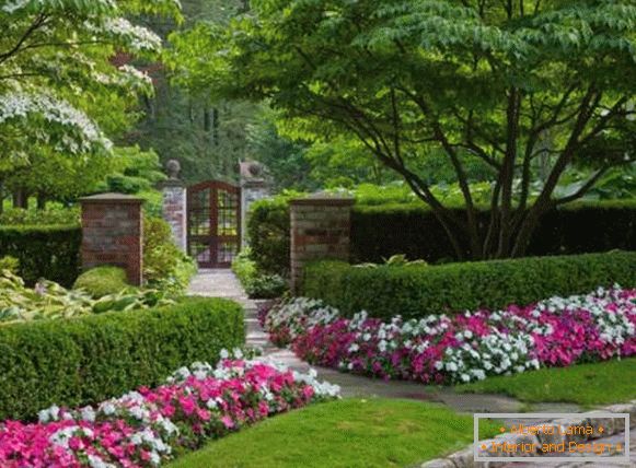 Цвеће у дворишту приватне куће - најбоље модерне идеје 2017