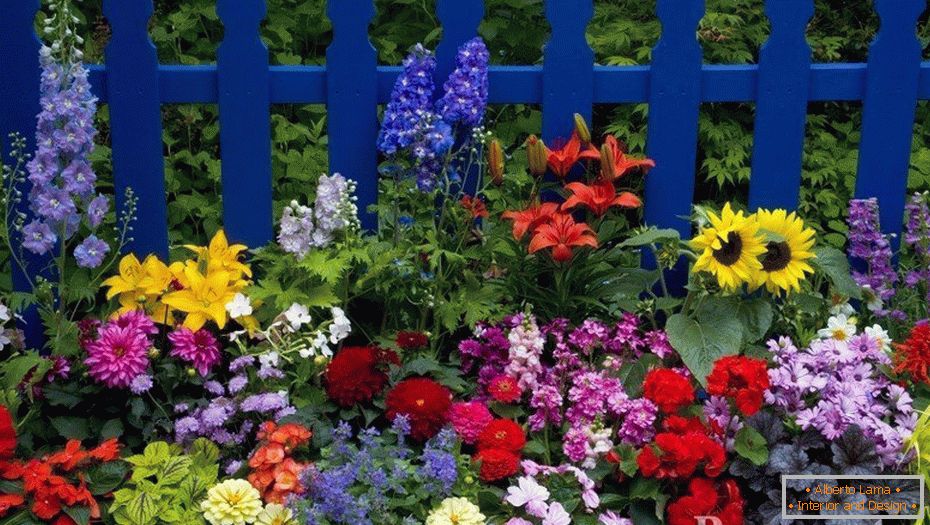 Светао цветни кревет на огради