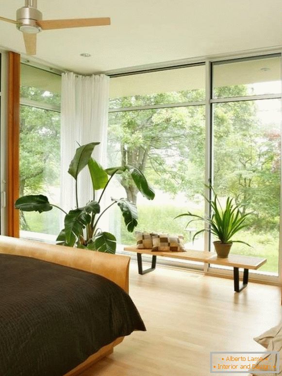 Велики прозори и биљке у спаваћој соби