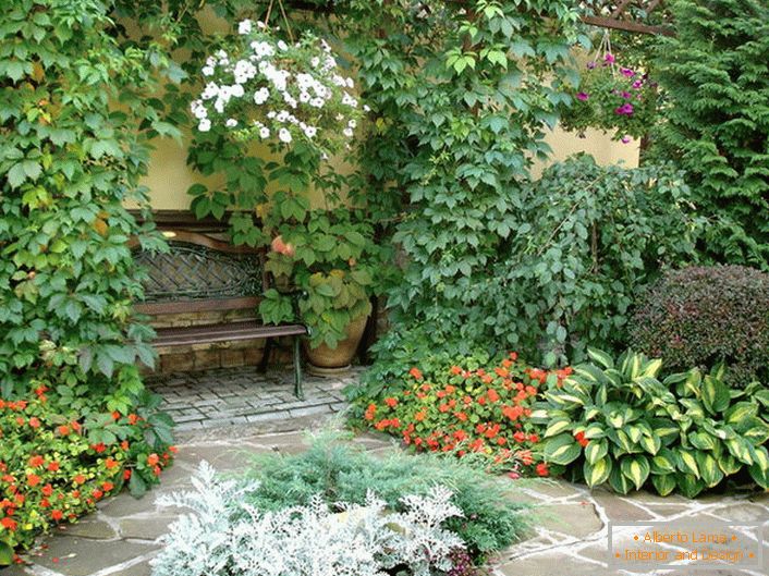 Разноликост биљног света у дворишту указује на присуство медитеранског стила. Цвјетне цвијеће, увикано дивље грожђе чини атмосферу романтичном.