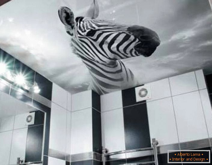 Необично решење за украшавање црно-белог купатила је слика зебре на строповима са растојањем са штампом фотографија.