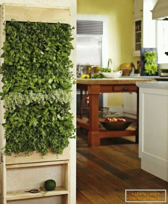 Зелене биљке у кухињи