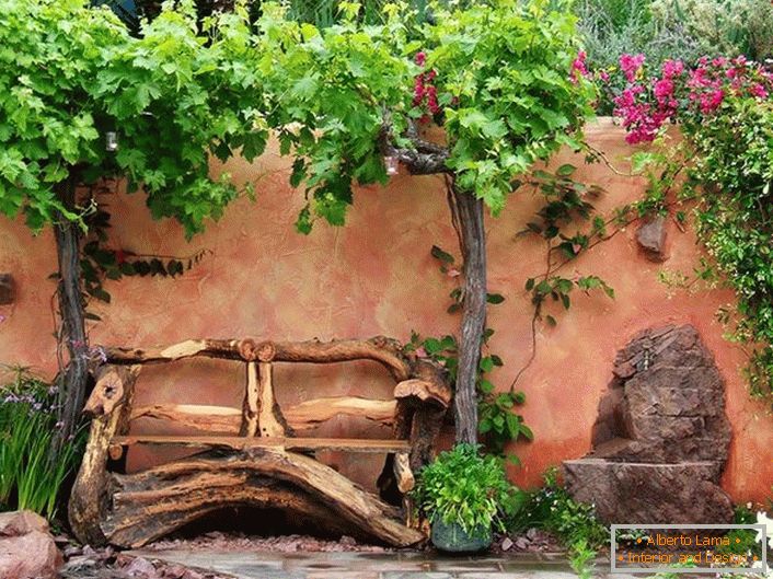 Уређење врта у башти у пријатном стилу у држави (52 фотографије)