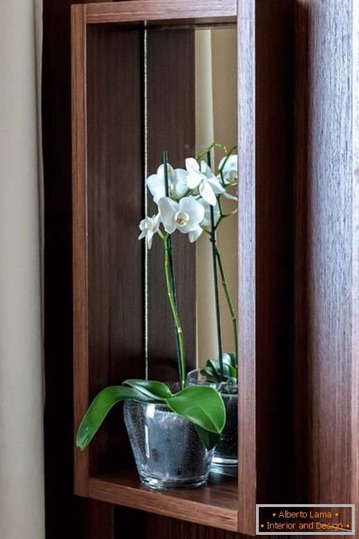 Орхидеја у кухињи са ефектом оптичке илузије