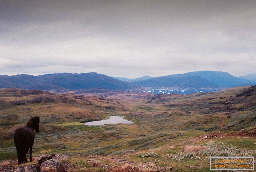 Плёночные пейзажи Гренландии Цармен Марцена