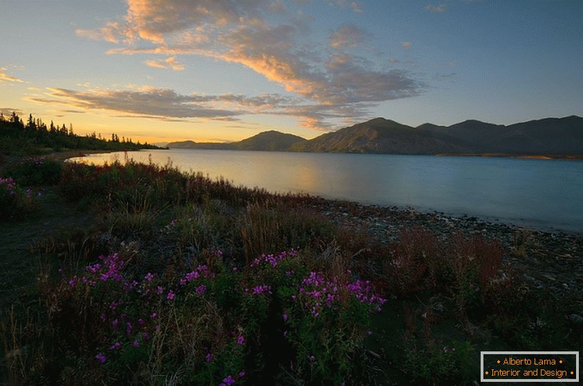 Одличне фотографије канадске природе, Кеитх Виллиамс